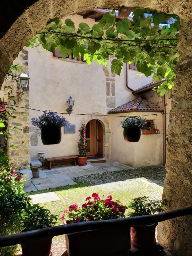 La Tana Del Tasso Rooms&Breakfast Camerata Cornello エクステリア 写真